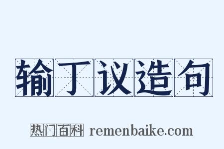 输丁议造句是什么意思的图片